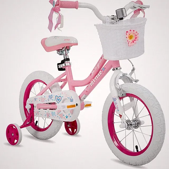 Sturdy Girls Bike with Coaster Brake & Handbrake